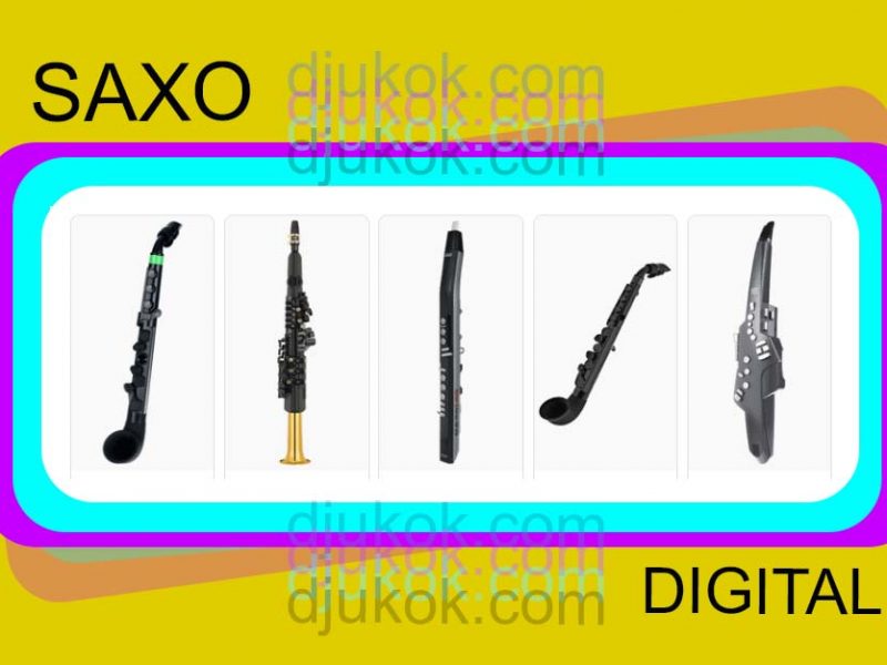 Saxo digital